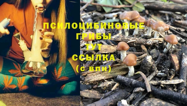 гидропоника Армянск