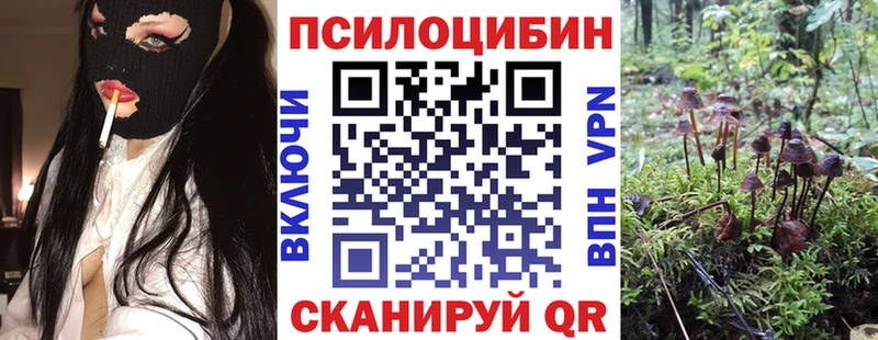 Псилоцибиновые грибы прущие грибы  Грязовец 